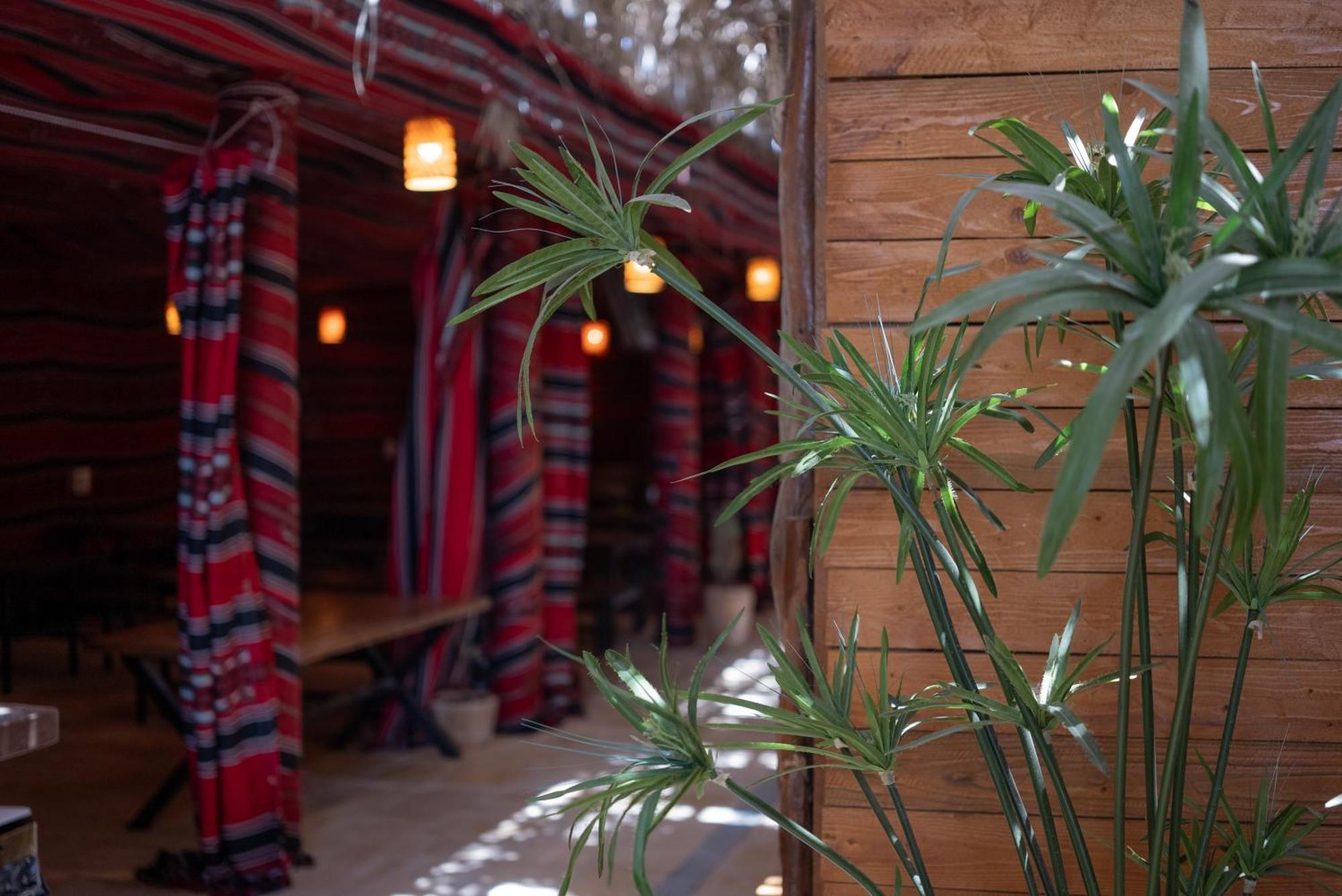 Adama Boutique Hotel 米茨佩·拉蒙 外观 照片
